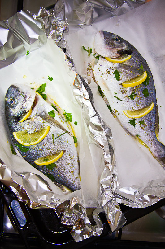 Sea Bre Fish. Sea bream. | milkandbun