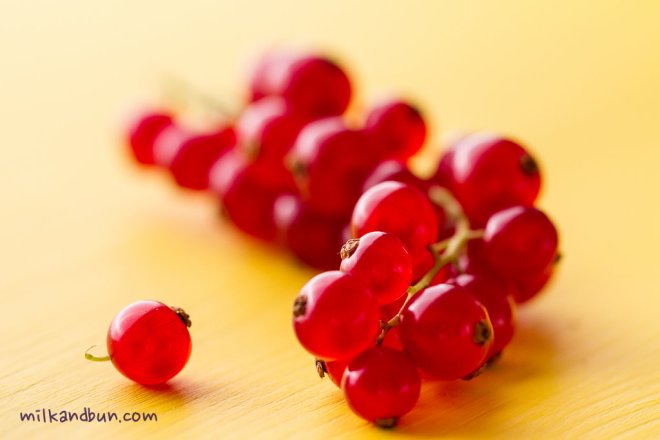 Red currant