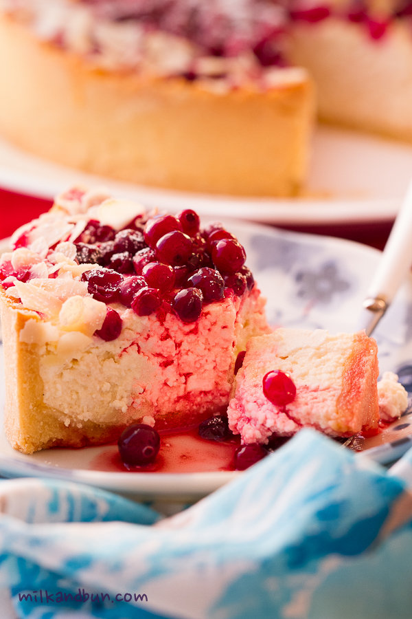 Festive Pie with cranberries