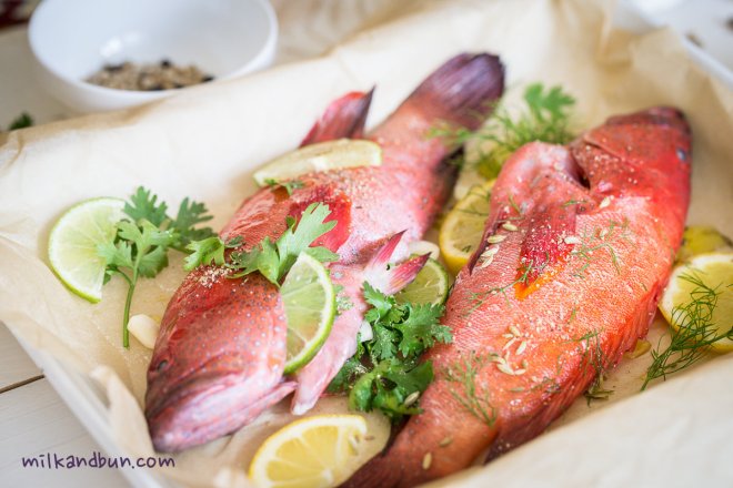 Red grouper with citrus slices and fresh herbs